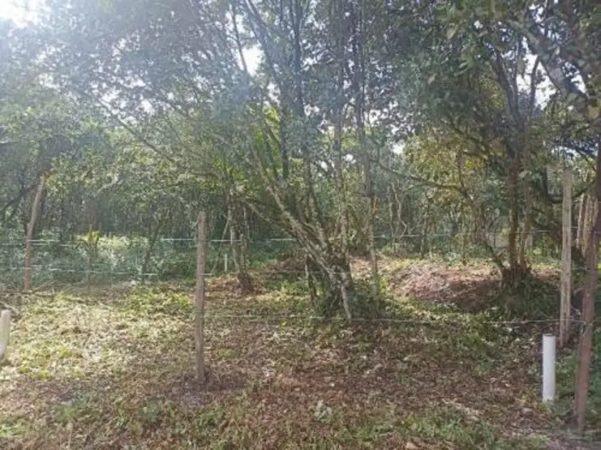 Terreno / Lote à venda, 264m2 em Itanhaem - SP - imagem 9 Foto 9 de Terreno / Lote à venda, 264m2 em Itanhaem - SP