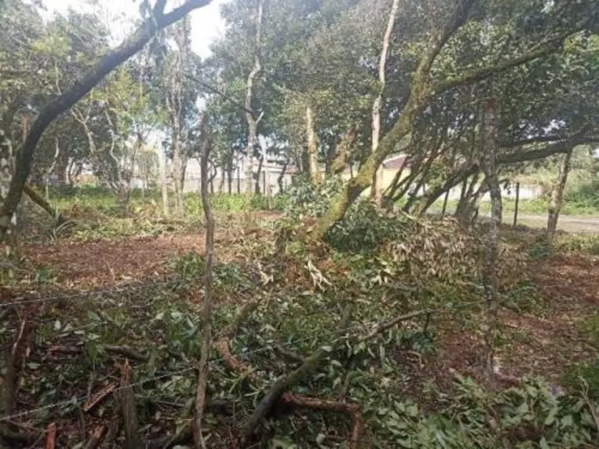 Terreno / Lote à venda, 264m2 em Itanhaem - SP - imagem 6 Foto 6 de Terreno / Lote à venda, 264m2 em Itanhaem - SP