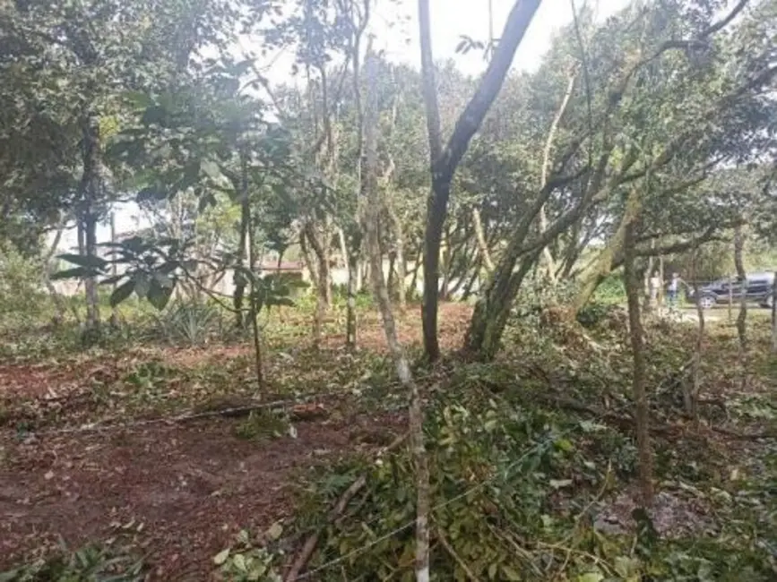 Terreno / Lote à venda, 264m2 em Itanhaem - SP - imagem 3 Foto 3 de Terreno / Lote à venda, 264m2 em Itanhaem - SP