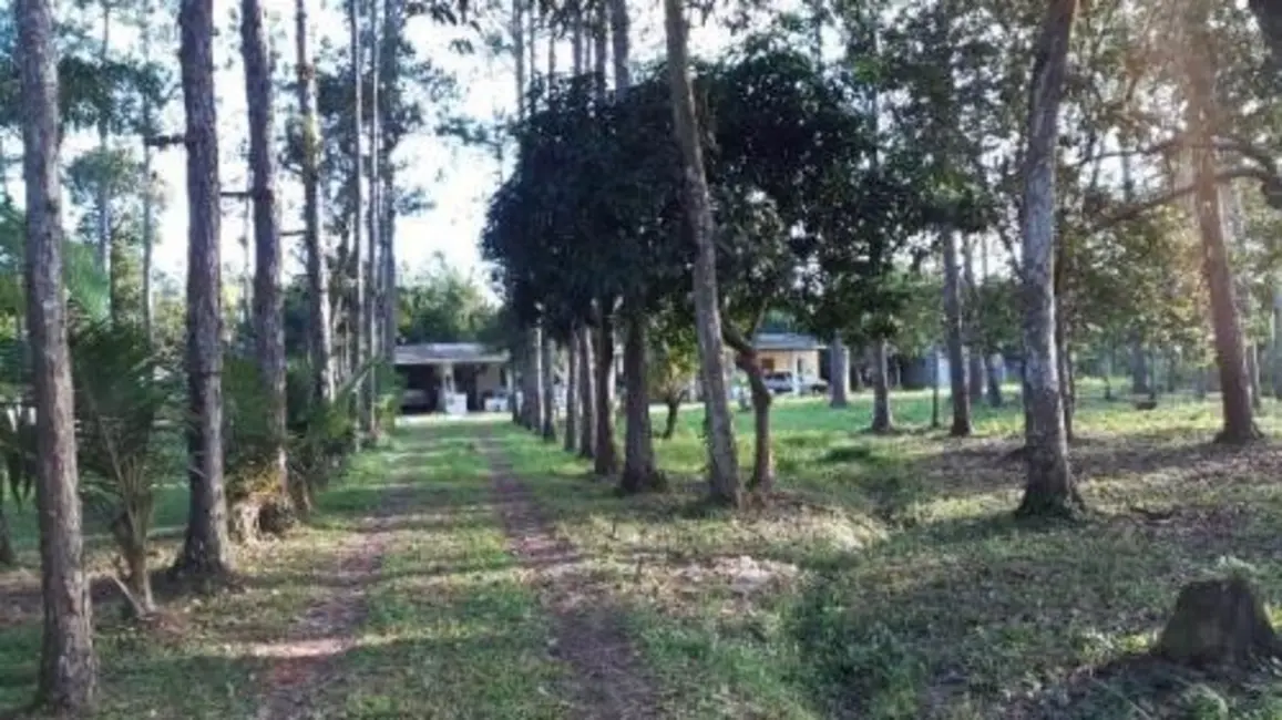 Chácara com 4 quartos à venda, 115m2 em Itanhaem - SP - imagem 5 Foto 5 de Chácara com 4 quartos à venda, 115m2 em Itanhaem - SP