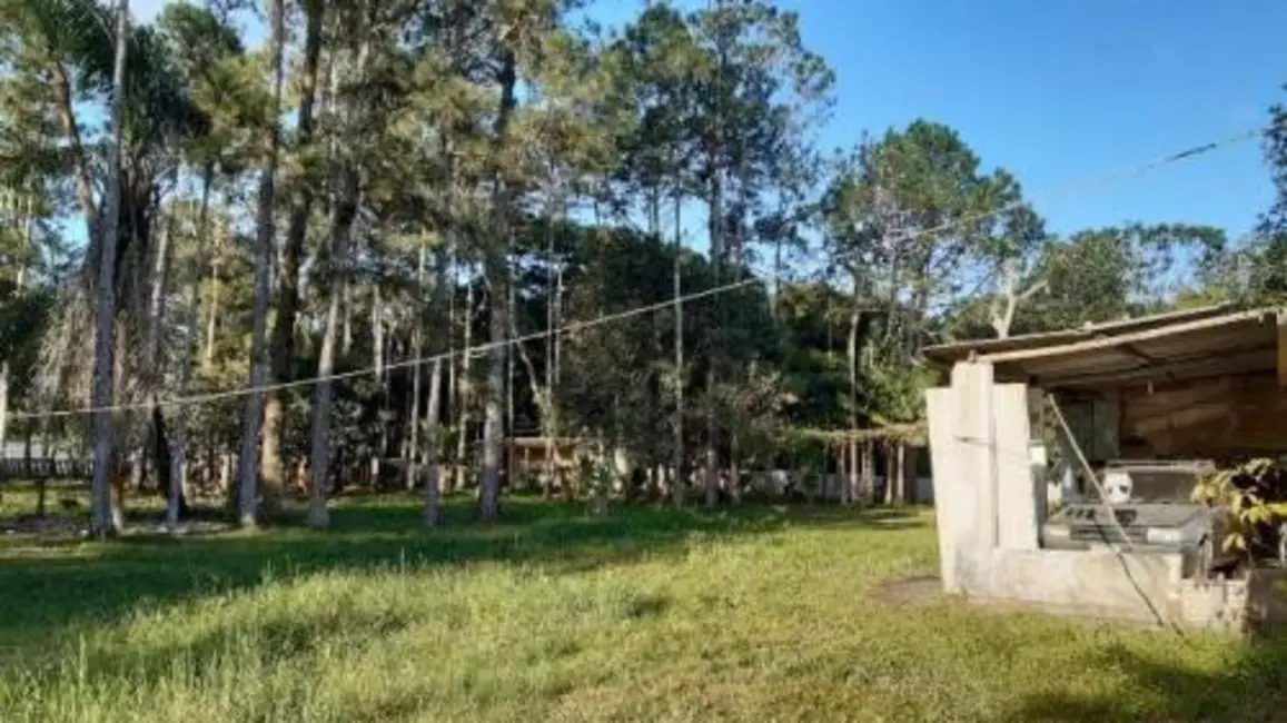 Chácara com 4 quartos à venda, 115m2 em Itanhaem - SP - imagem 6 Foto 6 de Chácara com 4 quartos à venda, 115m2 em Itanhaem - SP