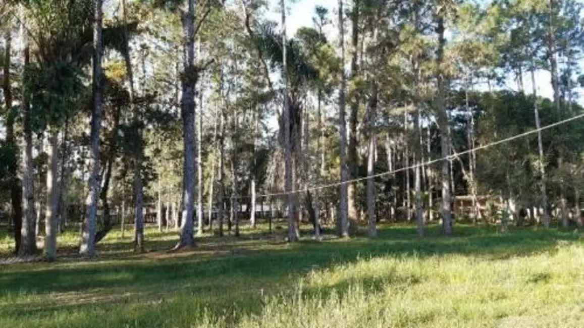 Chácara com 4 quartos à venda, 115m2 em Itanhaem - SP - imagem 9 Foto 9 de Chácara com 4 quartos à venda, 115m2 em Itanhaem - SP