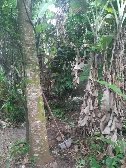 Foto 5 de Terreno / Lote à venda, 250m2 em Itanhaem - SP