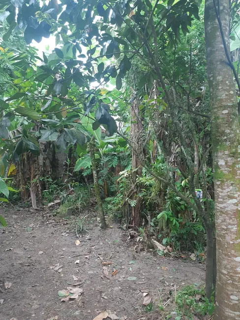 Foto 1 de Terreno / Lote à venda, 250m2 em Itanhaem - SP