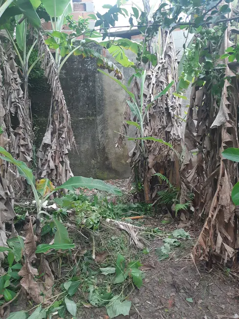 Foto 4 de Terreno / Lote à venda, 250m2 em Itanhaem - SP