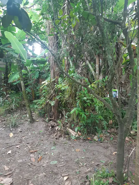 Foto 8 de Terreno / Lote à venda, 250m2 em Itanhaem - SP