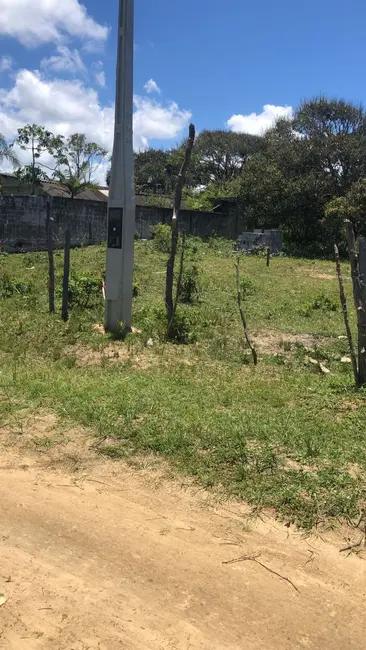 Terreno / Lote à venda, 290m2 em Itanhaem - SP - imagem 8 Foto 8 de Terreno / Lote à venda, 290m2 em Itanhaem - SP