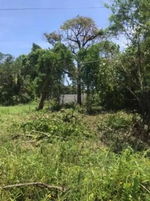 Foto 3 de Terreno / Lote à venda, 192m2 em Itanhaem - SP