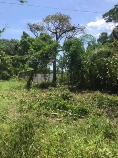 Foto 1 de Terreno / Lote à venda, 192m2 em Itanhaem - SP