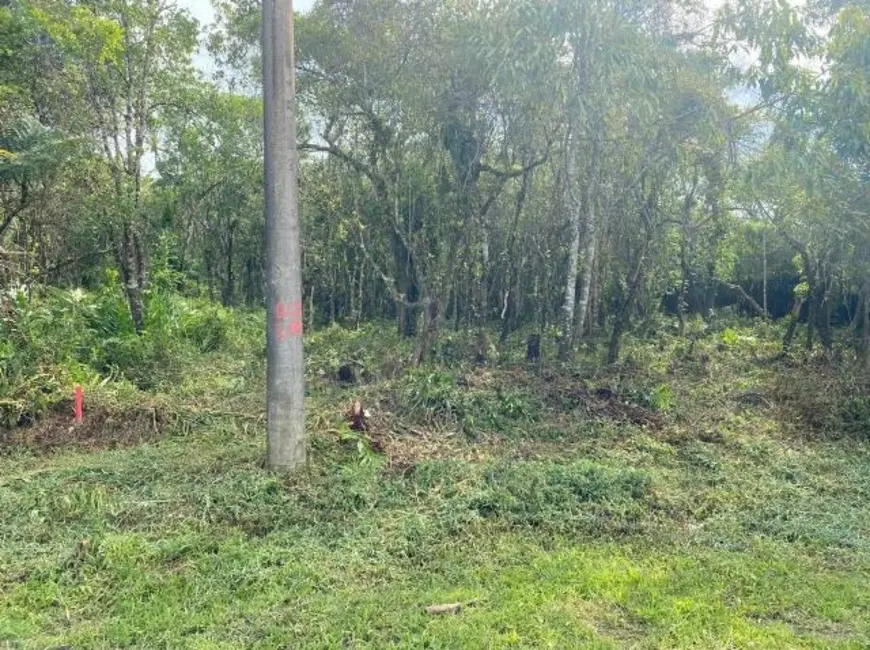 Foto 3 de Terreno / Lote à venda, 241m2 em Itanhaem - SP