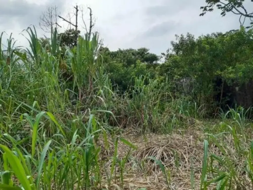 Terreno / Lote à venda, 297m2 em Peruibe - SP - imagem 5 Foto 5 de Terreno / Lote à venda, 297m2 em Peruibe - SP