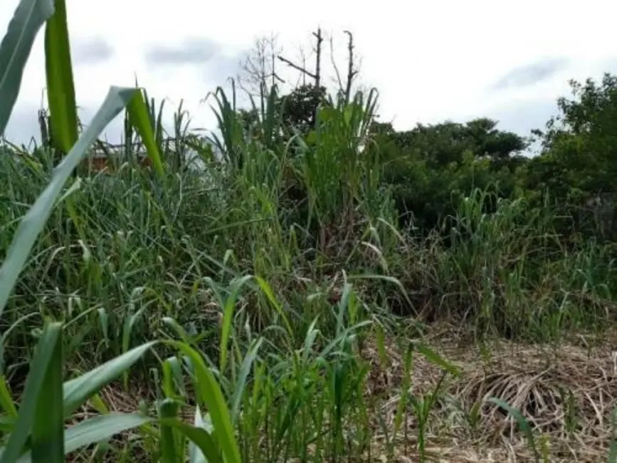 Terreno / Lote à venda, 297m2 em Peruibe - SP - imagem 4 Foto 4 de Terreno / Lote à venda, 297m2 em Peruibe - SP