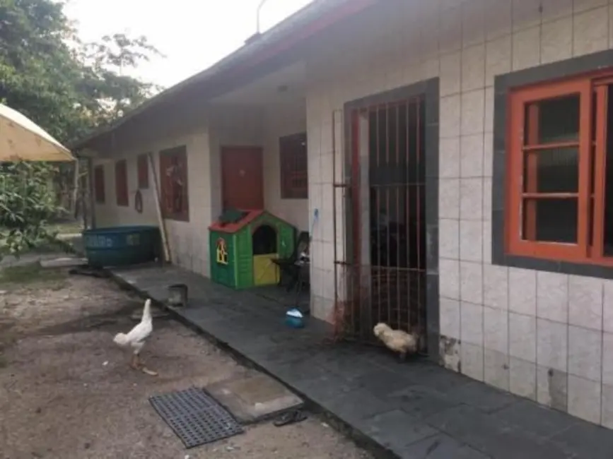 Chácara com 2 quartos à venda, 150m2 em Itanhaem - SP - imagem 7 Foto 7 de Chácara com 2 quartos à venda, 150m2 em Itanhaem - SP