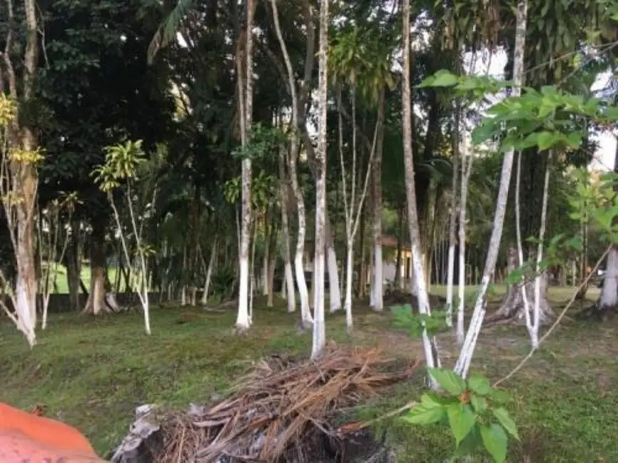 Chácara com 2 quartos à venda, 150m2 em Itanhaem - SP - imagem 6 Foto 6 de Chácara com 2 quartos à venda, 150m2 em Itanhaem - SP