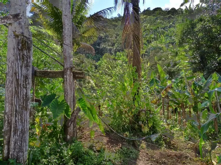 Chácara com 2 quartos à venda, 75000m2 em Peruibe - SP - imagem 9 Foto 9 de Chácara com 2 quartos à venda, 75000m2 em Peruibe - SP