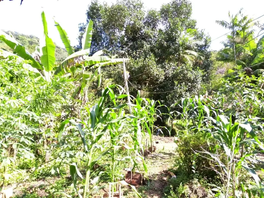 Foto 2 de Chácara com 2 quartos à venda, 75000m2 em Peruibe - SP