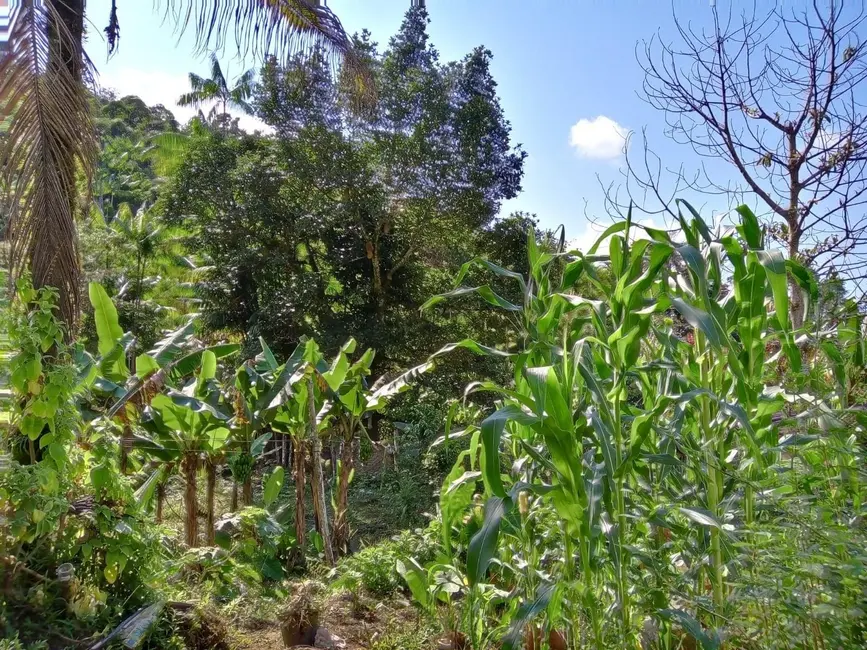 Chácara com 2 quartos à venda, 75000m2 em Peruibe - SP - imagem 8 Foto 8 de Chácara com 2 quartos à venda, 75000m2 em Peruibe - SP