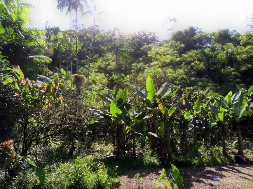 Chácara com 2 quartos à venda, 75000m2 em Peruibe - SP - imagem 4 Foto 4 de Chácara com 2 quartos à venda, 75000m2 em Peruibe - SP
