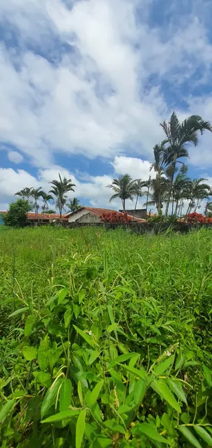 Terreno / Lote à venda, 475m2 em Itanhaem - SP - imagem 4 Foto 4 de Terreno / Lote à venda, 475m2 em Itanhaem - SP