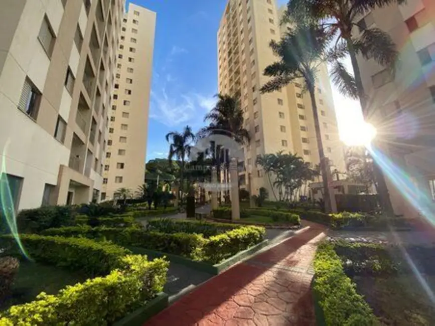 Foto 1 de Apartamento com 3 quartos para alugar, 65m2 em Jardim Vazani, São Paulo - SP