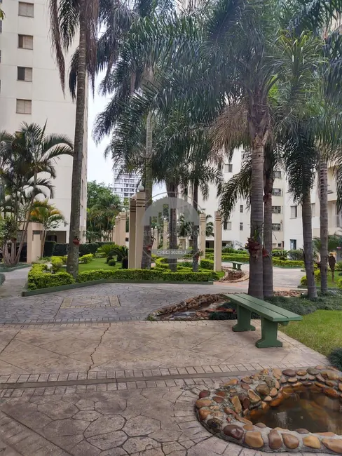 Foto 5 de Apartamento com 3 quartos para alugar, 65m2 em Morumbi, São Paulo - SP