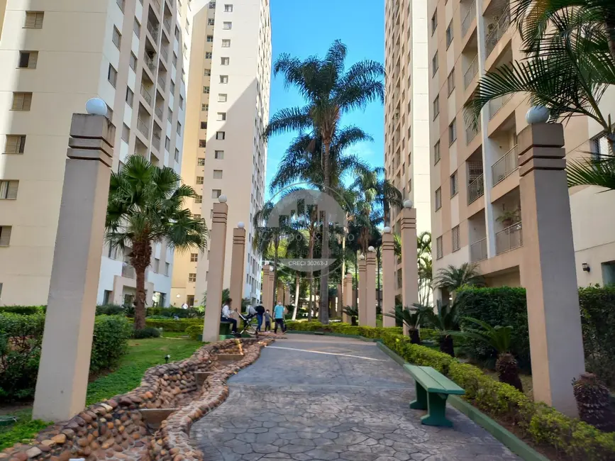 Foto 1 de Apartamento com 3 quartos para alugar, 65m2 em Morumbi, São Paulo - SP