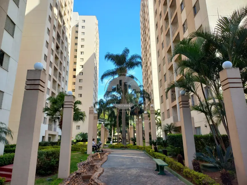 Foto 2 de Apartamento com 3 quartos para alugar, 65m2 em Morumbi, São Paulo - SP