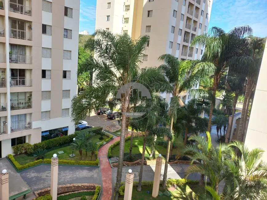 Foto 3 de Apartamento com 3 quartos para alugar, 65m2 em Morumbi, São Paulo - SP