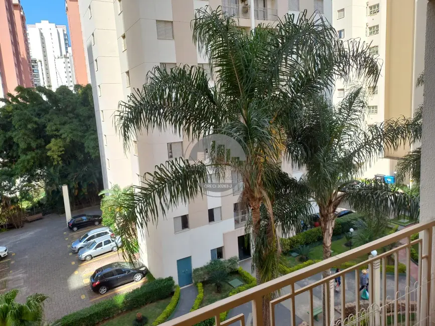 Foto 6 de Apartamento com 3 quartos para alugar, 65m2 em Morumbi, São Paulo - SP