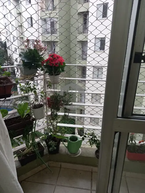 Apartamento com 2 quartos à venda, 49m2 em Parque Munhoz, São Paulo - SP - imagem 6 Foto 6 de Apartamento com 2 quartos à venda, 49m2 em Parque Munhoz, São Paulo - SP