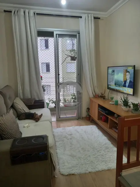 Apartamento com 2 quartos à venda, 49m2 em Parque Munhoz, São Paulo - SP - imagem 1 Foto 1 de Apartamento com 2 quartos à venda, 49m2 em Parque Munhoz, São Paulo - SP