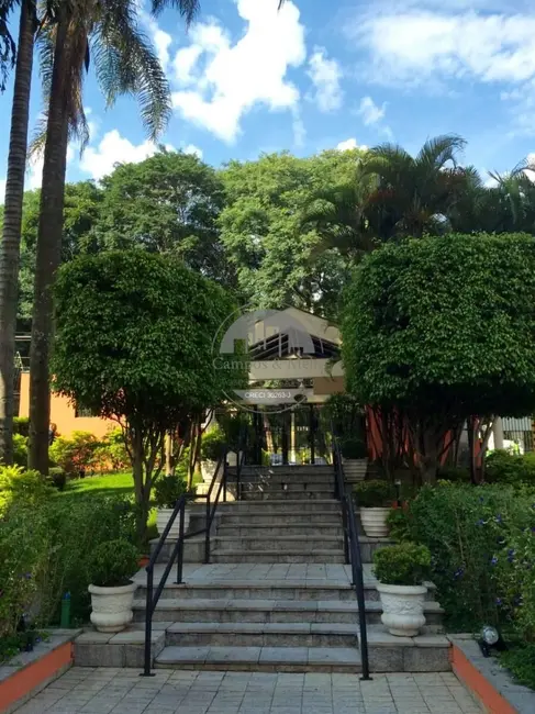 Foto 2 de Apartamento com 3 quartos para alugar, 75m2 em Jardim Vazani, São Paulo - SP