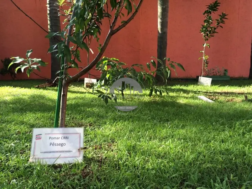 Foto 5 de Apartamento com 3 quartos para alugar, 75m2 em Jardim Vazani, São Paulo - SP