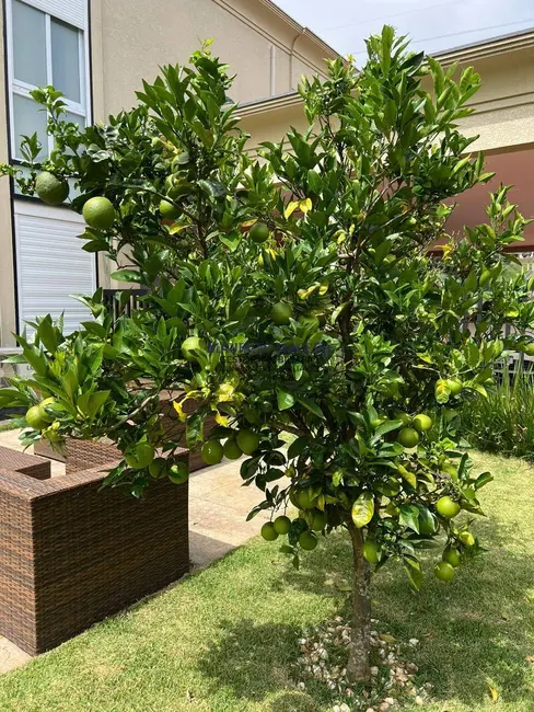 Foto 9 de Casa com 5 quartos à venda, 3300m2 em Barueri - SP