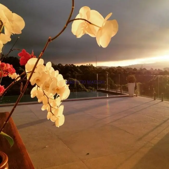 Casa com 5 quartos à venda, 494m2 em Barueri - SP - imagem 5 Foto 5 de Casa com 5 quartos à venda, 494m2 em Barueri - SP