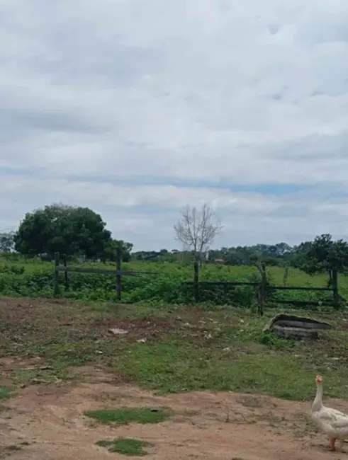 Sítio / Rancho à venda, 35000m2 em Xuri, Vila Velha - ES - imagem 6 Foto 6 de Sítio / Rancho à venda, 35000m2 em Xuri, Vila Velha - ES