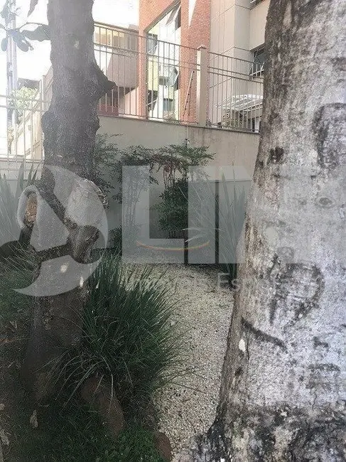 Apartamento com 2 quartos à venda, 84m2 em Auxiliadora, Porto Alegre - RS - imagem 5 Foto 5 de Apartamento com 2 quartos à venda, 84m2 em Auxiliadora, Porto Alegre - RS