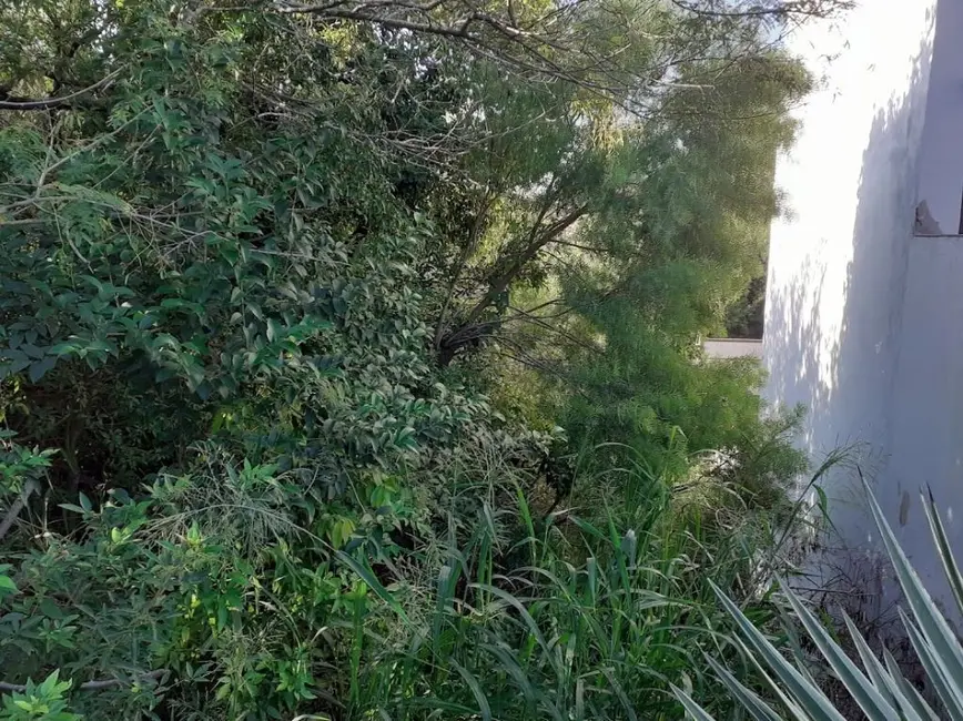 Foto 3 de Terreno / Lote à venda em Ipanema, Porto Alegre - RS