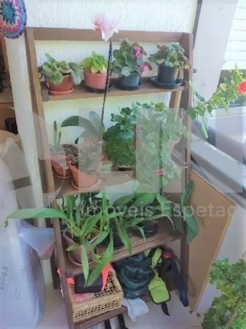 Foto 6 de Apartamento com 3 quartos à venda, 84m2 em Azenha, Porto Alegre - RS