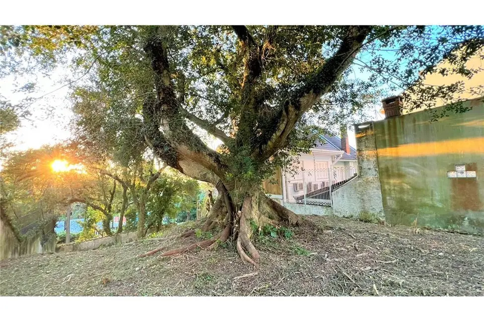 Foto 8 de Terreno / Lote à venda em Tristeza, Porto Alegre - RS