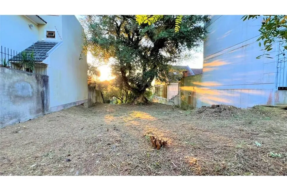 Foto 4 de Terreno / Lote à venda em Tristeza, Porto Alegre - RS