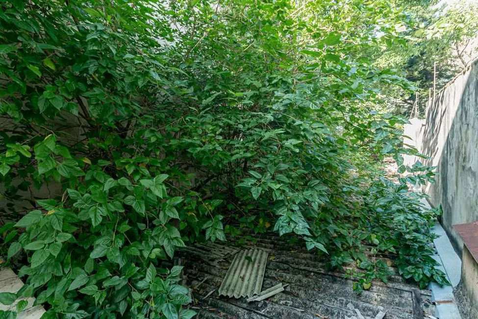 Casa com 5 quartos à venda, 450m2 em Bom Fim, Porto Alegre - RS - imagem 7 Foto 7 de Casa com 5 quartos à venda, 450m2 em Bom Fim, Porto Alegre - RS