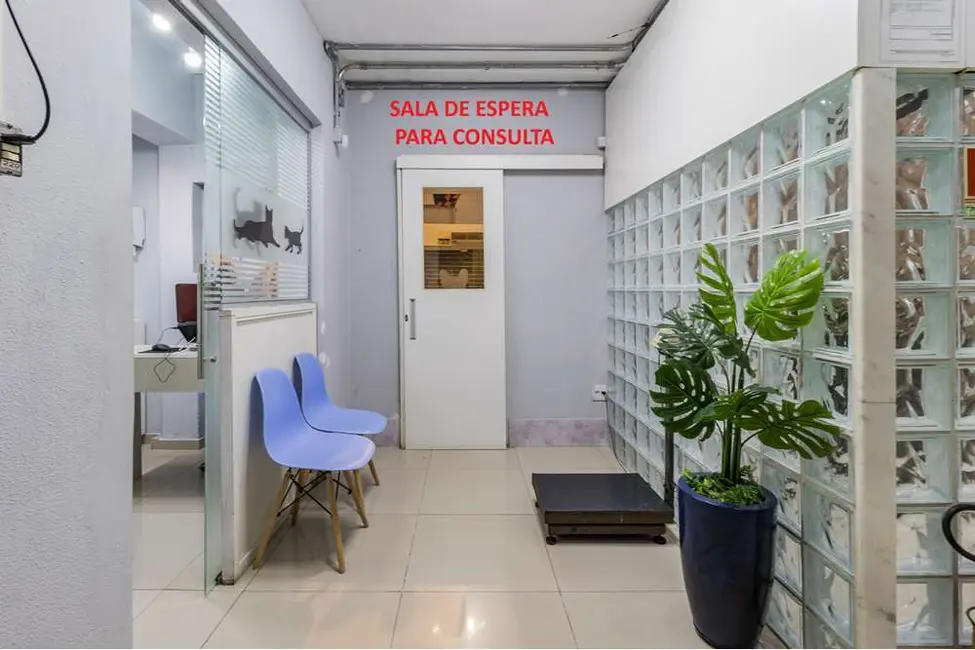 Foto 2 de Loja à venda, 300m2 em Vila Ipiranga, Porto Alegre - RS