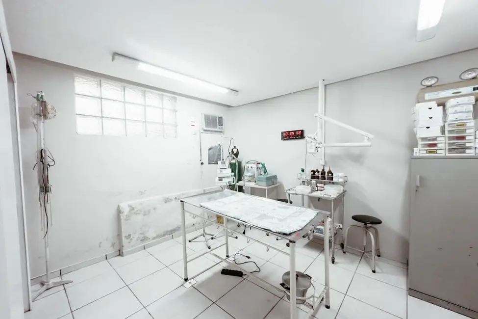 Casa com 3 quartos à venda, 240m2 em Petrópolis, Porto Alegre - RS - imagem 8 Foto 8 de Casa com 3 quartos à venda, 240m2 em Petrópolis, Porto Alegre - RS