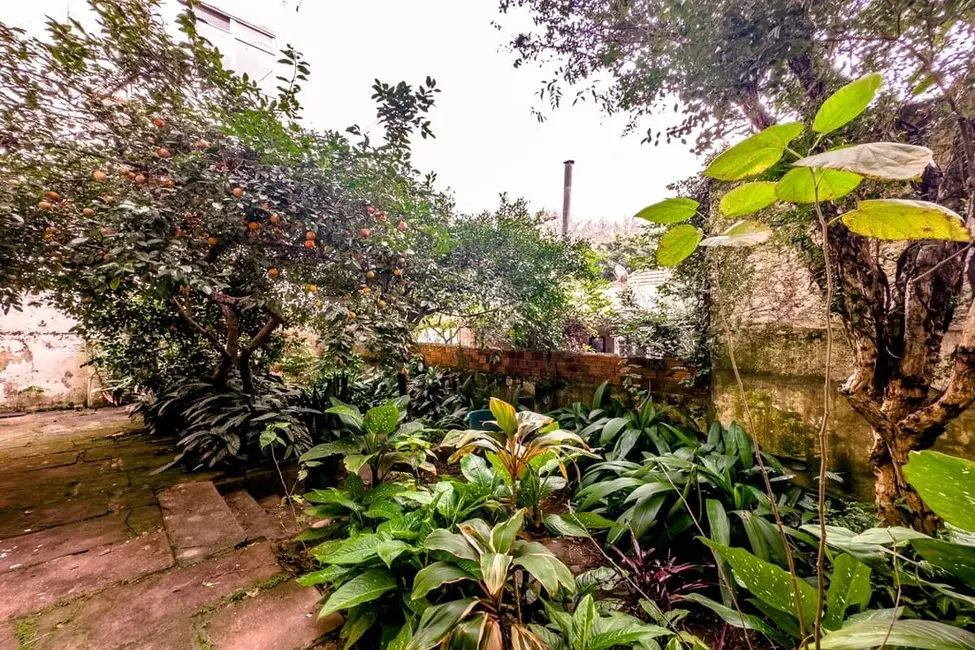 Casa com 3 quartos à venda, 240m2 em Petrópolis, Porto Alegre - RS - imagem 5 Foto 5 de Casa com 3 quartos à venda, 240m2 em Petrópolis, Porto Alegre - RS