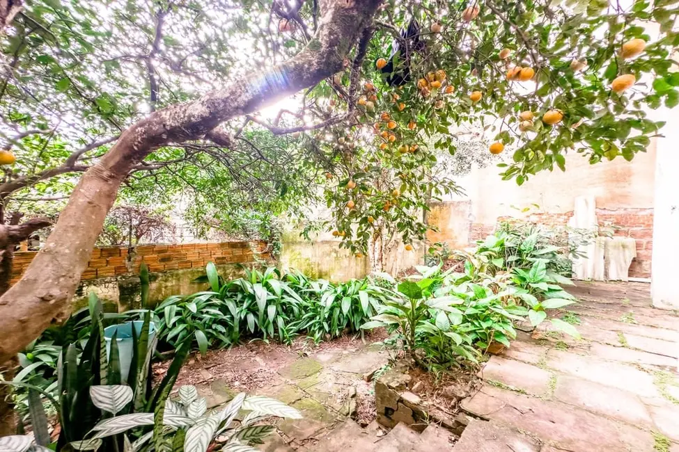 Casa com 3 quartos à venda, 240m2 em Petrópolis, Porto Alegre - RS - imagem 4 Foto 4 de Casa com 3 quartos à venda, 240m2 em Petrópolis, Porto Alegre - RS