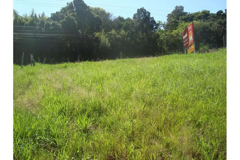 Foto 6 de Terreno / Lote à venda em Lomba do Pinheiro, Porto Alegre - RS