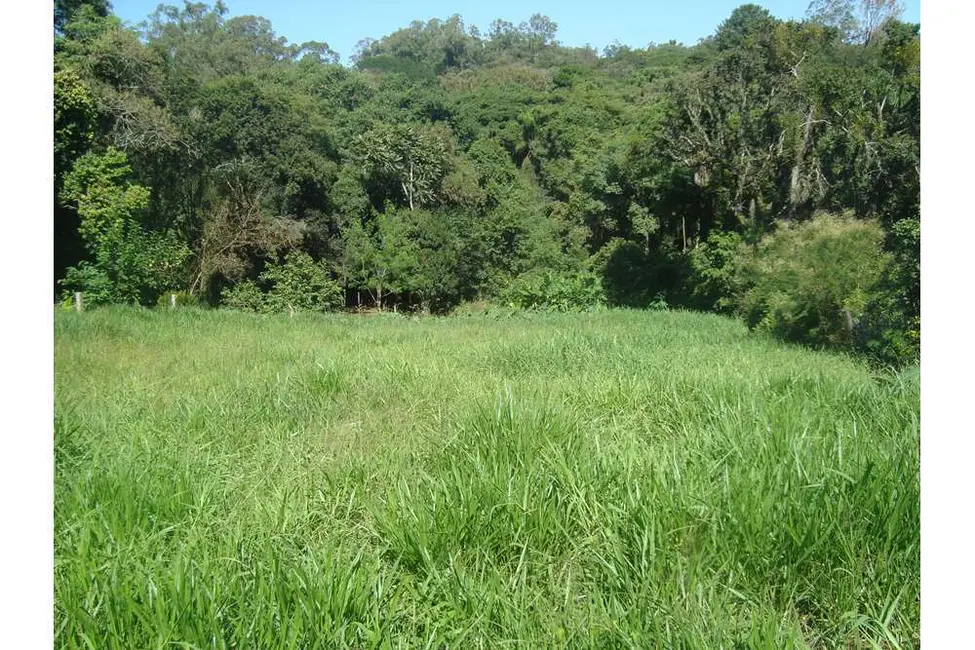 Foto 5 de Terreno / Lote à venda em Lomba do Pinheiro, Porto Alegre - RS