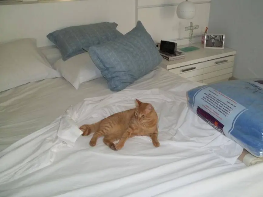 Casa de Condomínio com 4 quartos à venda, 550m2 em Aruja - SP - imagem 5 Foto 5 de Casa de Condomínio com 4 quartos à venda, 550m2 em Aruja - SP