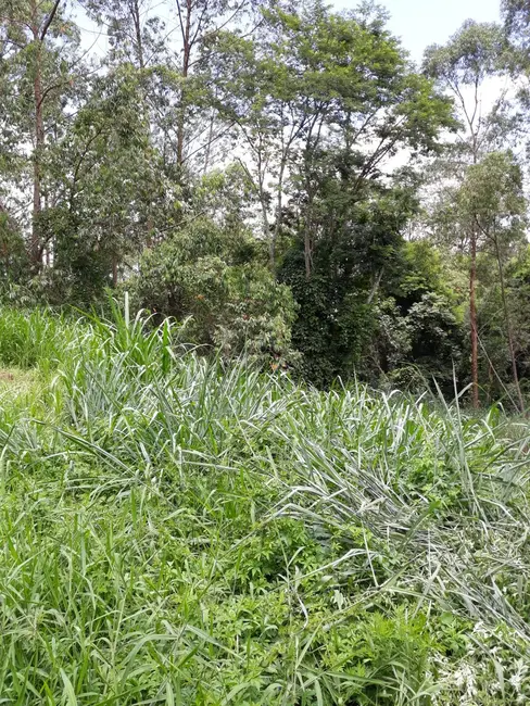 Foto 2 de Terreno / Lote à venda, 5700m2 em Chácara Ondas Verdes, Cotia - SP